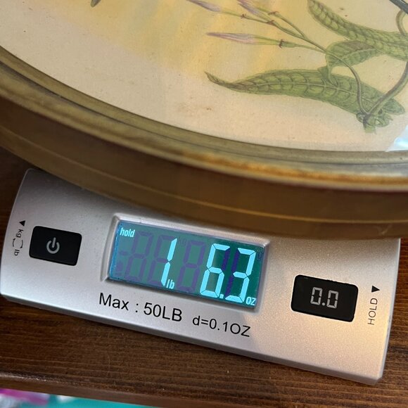 Vintage 1940’s Hylonympha Macrocerca Hummingbird Print by Gould Gold Oval Frame - Picture 10 of 10